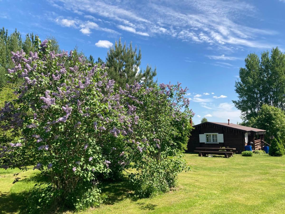Vila Pikkjaerve Puhkemaja Tilsi Exteriér fotografie